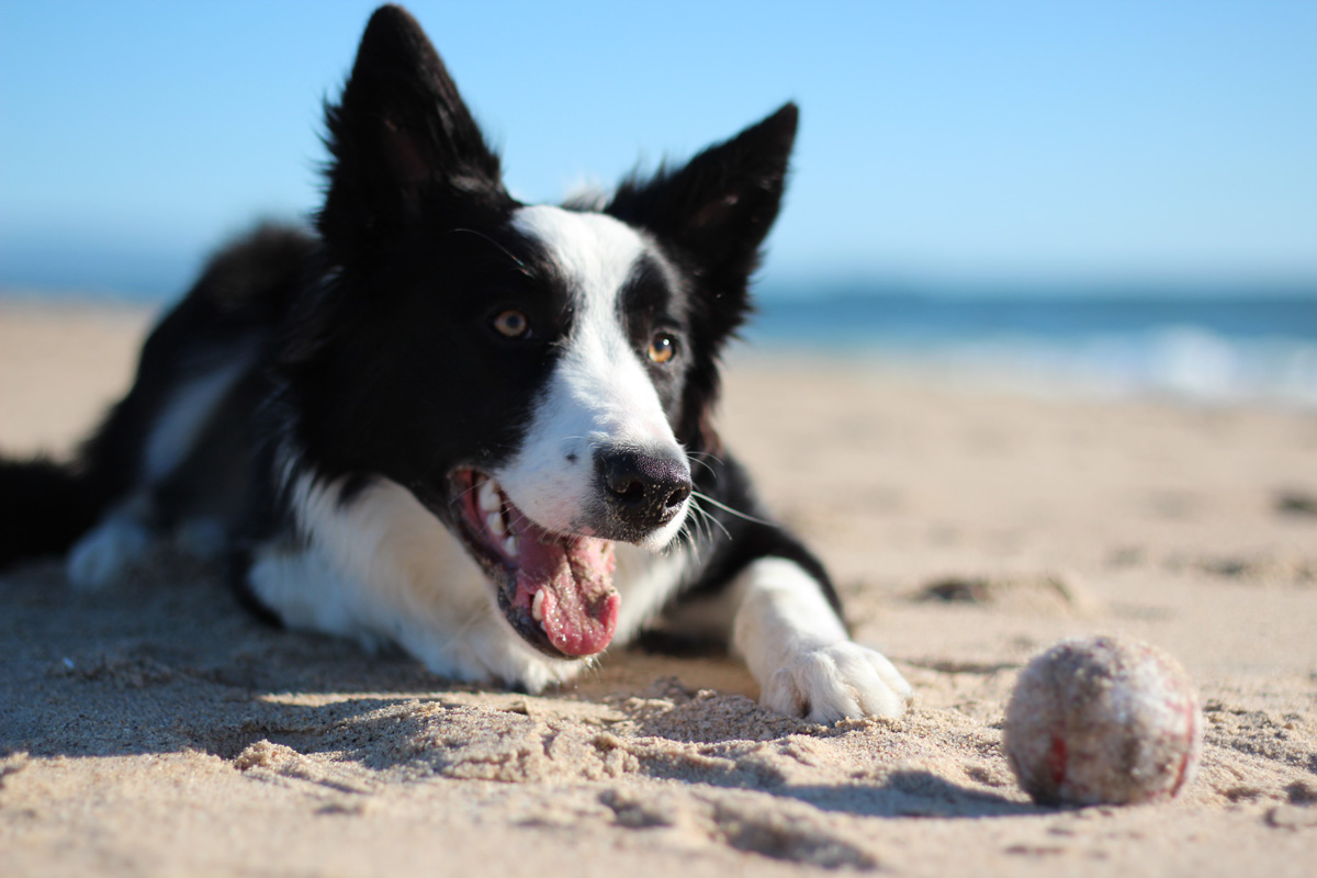 Looking after yourself – The key to a positive mind & healthy lifestyle