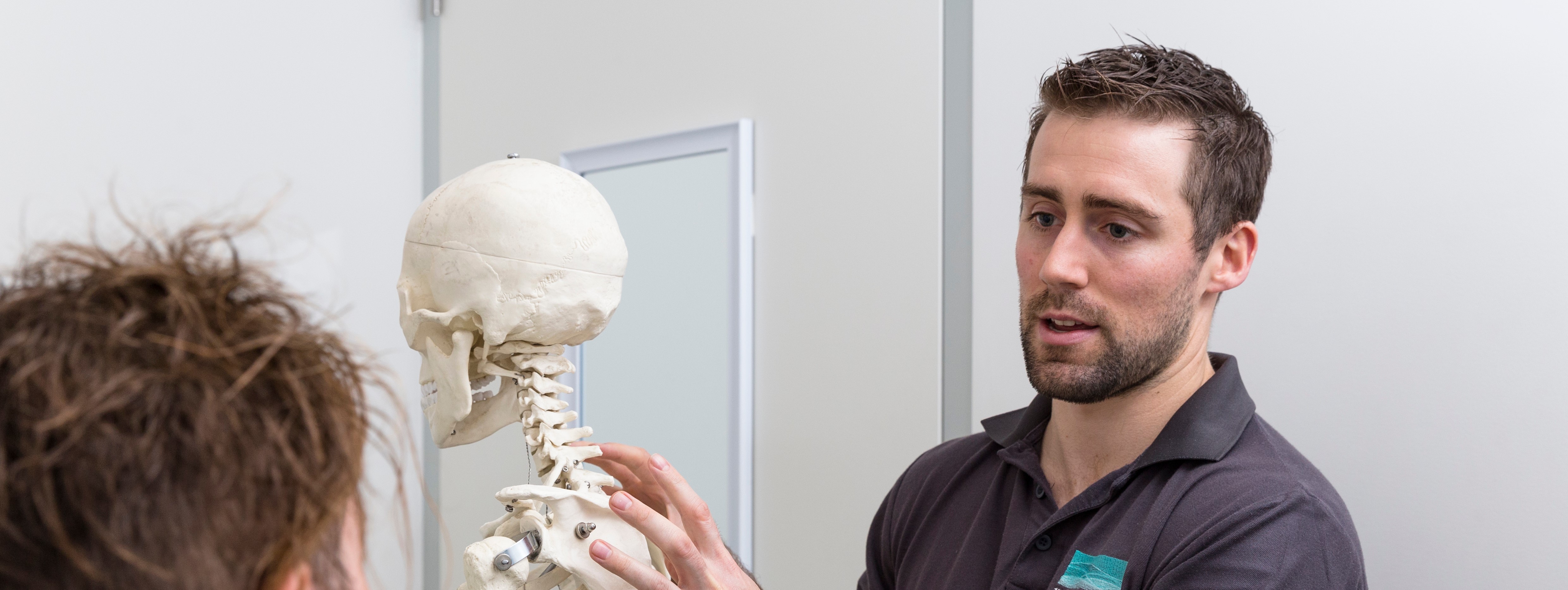 Stretches for the Workplace